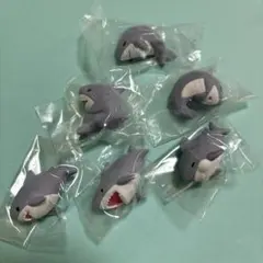 ならぶんです　さめさん