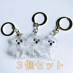 miccy様 リクエスト 2点 まとめ商品