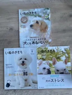 いぬのきもち　2024年　1年分　まとめ売り　12冊 いぬのきもち 2024年 1年分 まとめ売り 12冊 いぬのき