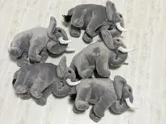 25cmの象のぬいぐるみ 5体セット