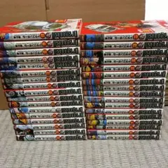 ドラゴンボール完全版　全巻34+2冊 バラ売り不可