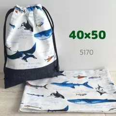 Item thumbnail for item c8150c75-eb9a-49b4-b6cb-a8fd9852e33d