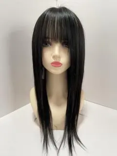 2026年最新】医療用ウィッグ ロング 人毛100%の人気アイテム - メルカリ