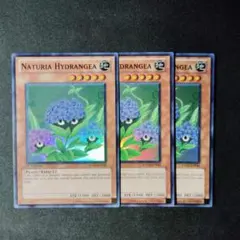 遊戯王　ナチュルハイドランジー　HA03-EN044　英語版スーパー　Y529