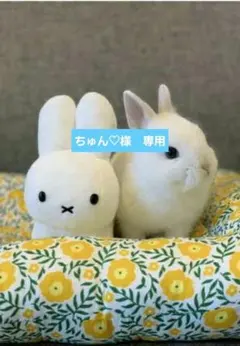 ちゅん♡様　専用