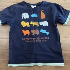 a.v.v Tシャツ　動物