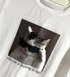 SHEIN ねこプリント 半袖Tシャツ ホワイト