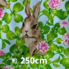 ウサギとクローバー☘️ 250cm
