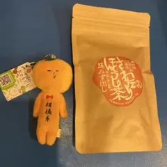 四国のおともだち ゆきお&高知さわたりほうじ茶