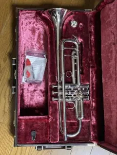 Item thumbnail for item 1a5b13c5-b151-4178-a7a7-3b11adae4dea