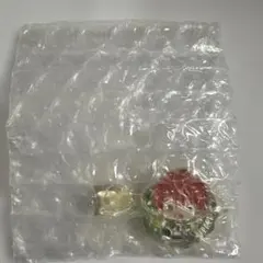 カラフルピーチ　メタルヘアクリップ　じゃぱぱ