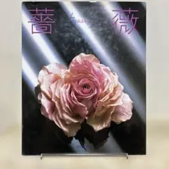 2026年最新】山上るい 布花の人気アイテム - メルカリ