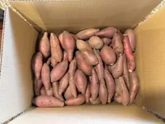 べにはるか 20kg(箱込) S(約100g～200g) 茨城県産 - メルカリ