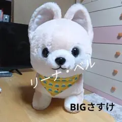 【12月16日火曜日23:59まで！】美品☆BIGさすけ