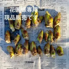 花園様専用★天然タラの芽★200gのサムネイル