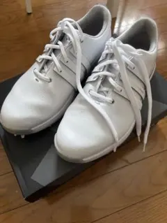 ゴルフシューズ 24