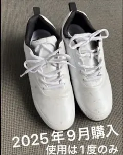 2026年最新】メンズ ゴルフシューズ 27cmの人気アイテム - メルカリ