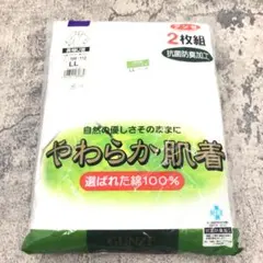 GUNZE グンゼ メンズインナー 長袖U首シャツ LLサイズ 2枚組　5629