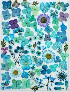 Item thumbnail for item f46aa556-c3ac-4bab-b566-9ecd15f4b514