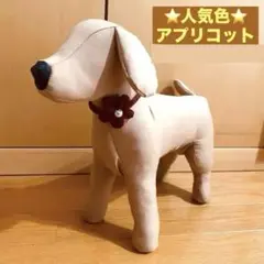 【ドッグトルソー】⭐️小型犬Ｓ⭐️アプリコット ワイヤー入り チョーカー付き