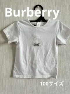 burberry 100