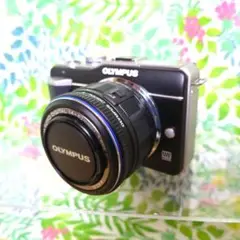 2025年最新】olympus pen e-p3の人気アイテム - メルカリ