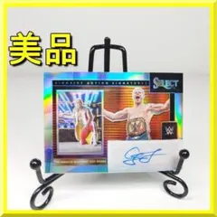 マテル社版　WWEプロレスフィギュア　ザ・シールド再結成3体セット　記念モデル マテル社版 WWEプロレスフィギュア ザ・シールド再結成3体セット 記念