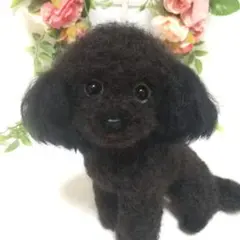羊毛フェルト トイプードル ブラック ぬいぐるみ 置物 ドール #267