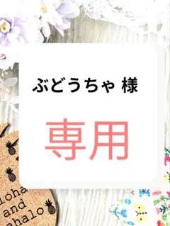 ぶどうちゃ 様　専用ページ