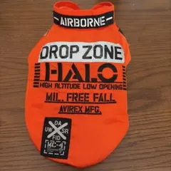 avirex犬服