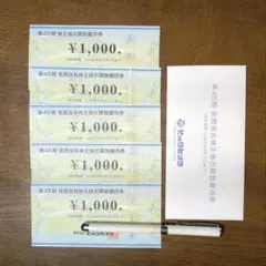 ビックカメラ　株主優待券　1000円券5枚　5000円分