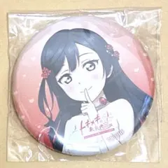 ラブライブ 虹ヶ咲 2ndライブ 缶バッジ 優木せつ菜 - メルカリ