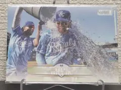 Item thumbnail for item 96df7837-1df3-4b9b-8a5d-47266e1293a9