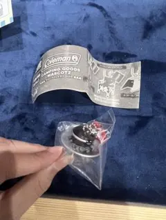 Item thumbnail for item 65d4e651-ddb2-48bc-a8f4-d12f60f78456