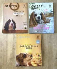 いぬのきもち 2022年10月〜12月 3点 本誌のみのサムネイル