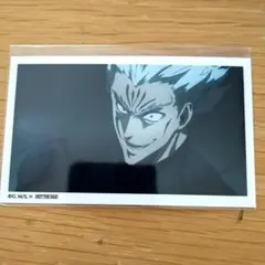 HUNTER×HUNTER ヒソカ　プロマイド　初期アニメ HUNTER×HUNTER ブロマイド ヒソカ No 31 ポストカード HISOKA 旧アニメ