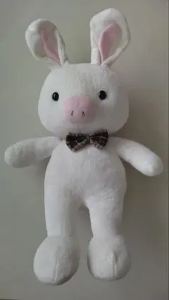 2025年最新】グンソク ぶたうさぎの人気アイテム - メルカリ