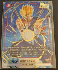 ドラゴンボール フュージョンワールド 孫悟空 fb08-007 sr パラレル