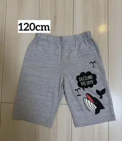 男の子 半袖 ハーフパンツ 120 夏服 キッズ グレー くじら 半パン
