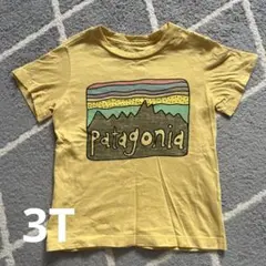 Patagonia イエロー Tシャツ