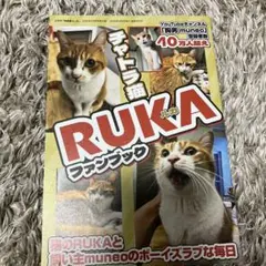 Item thumbnail for item 577720a9-3eb6-448f-ad5d-87970ef2d409