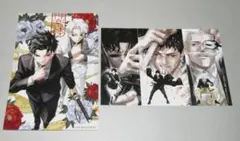 カグラバチ 限定配布品 非売品チラシ 目撃情報 冊子付き - メルカリ