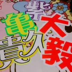 ありっぴー様専用★