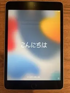 美品、翌日即発送！ iPad mini4 16GB スペースグレイ