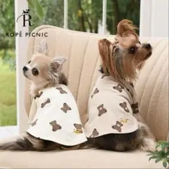 Ropé Picnic 犬服 くまさん柄 Tシャツ ペットウェアのサムネイル