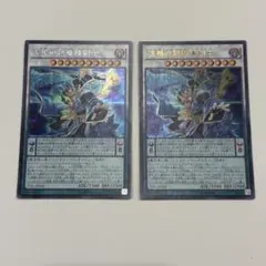 遊戯王　ニルヴァーナハイパラディン　シークレット　ウルトラ