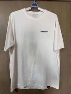 パタゴニア￼ キャプリーン クール デイリーグラフィック シャツ ホワイト 半袖
