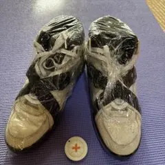 Item thumbnail for item d6401889-1280-416e-9aad-752fb6207613