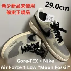 Gore-TEX × Nike Air Force 1 Moon Fossil
