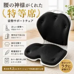腰の神様がくれた特等席】姿勢矯正 椅子 骨盤サポート クッション